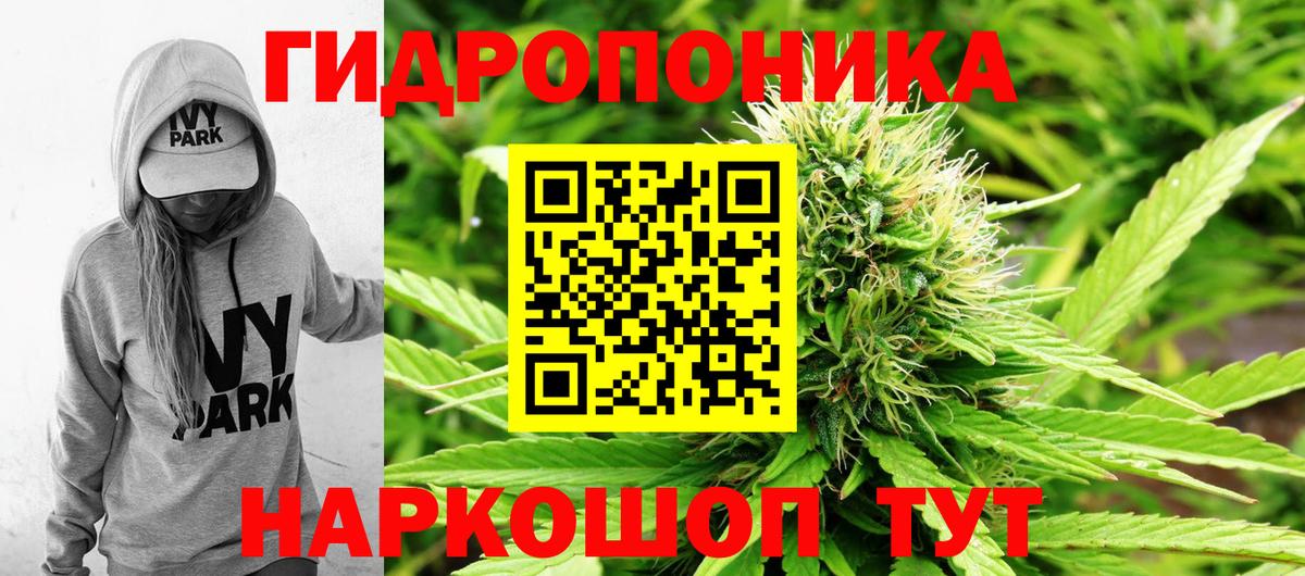 Шишки марихуана планчик  Вход с VPN  Шишки марихуана SATIVA & INDICA  Шишки марихуана VHQ  Марихуана MAZAR  Котлас 
